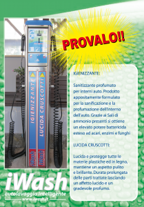 igienizzante-lucida cruscotti