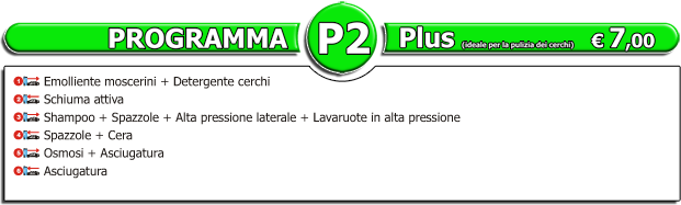 P2 Plus